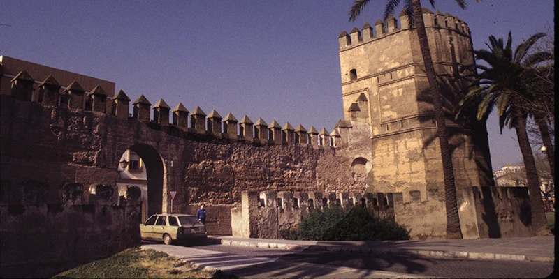 Wall fort